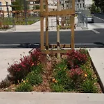 California 3* Béziers